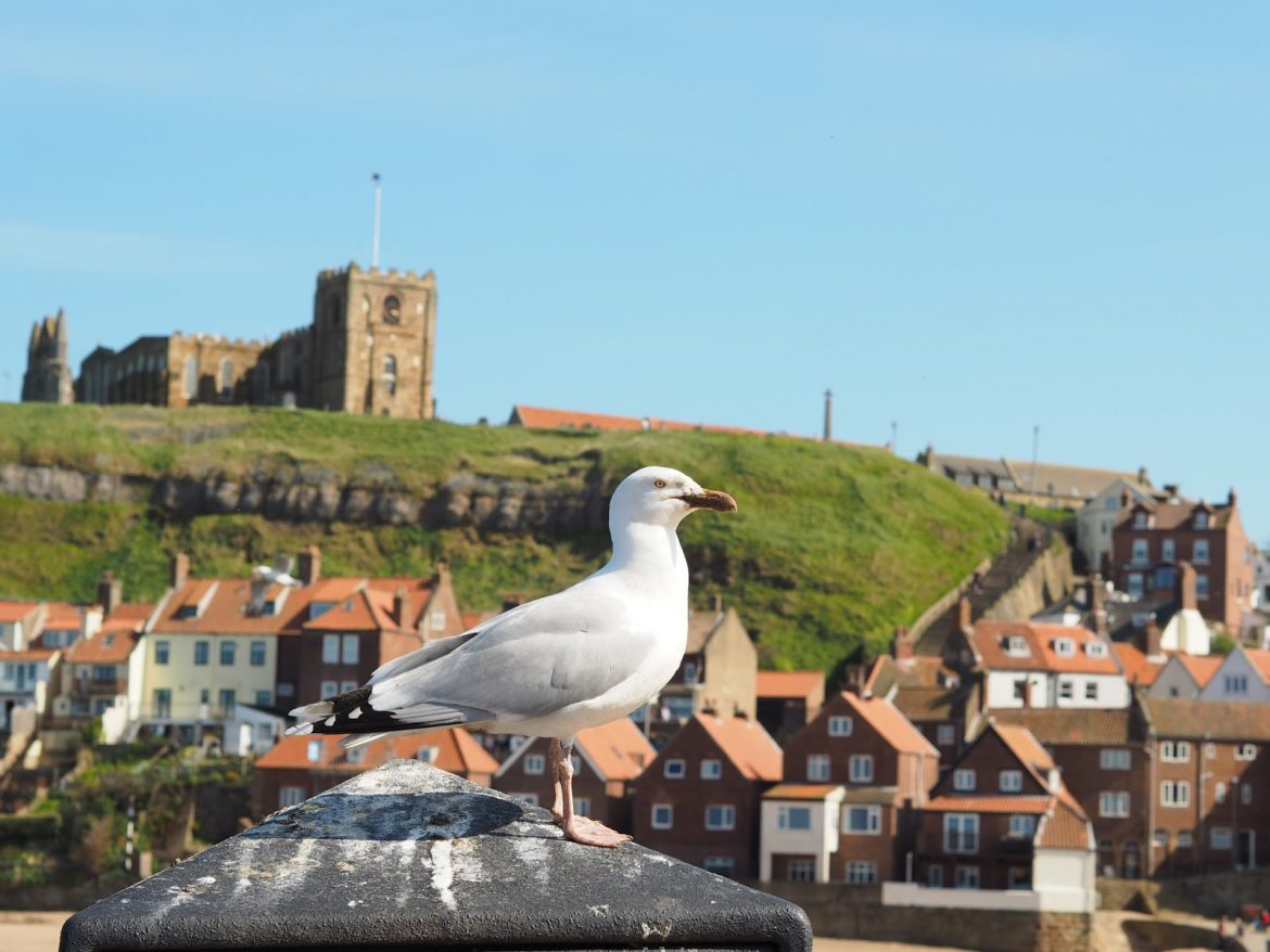 A Day Trip To Whitby
