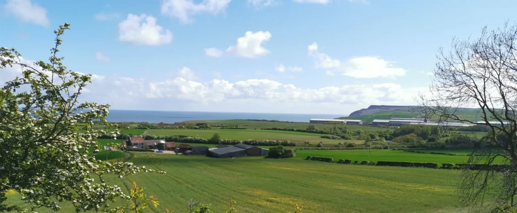 Breathtaking view of the lush fairways at Brotton Golf Course under a clear blue sky