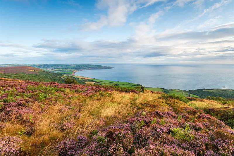 Top 5 Things to Do on the North East Coast
