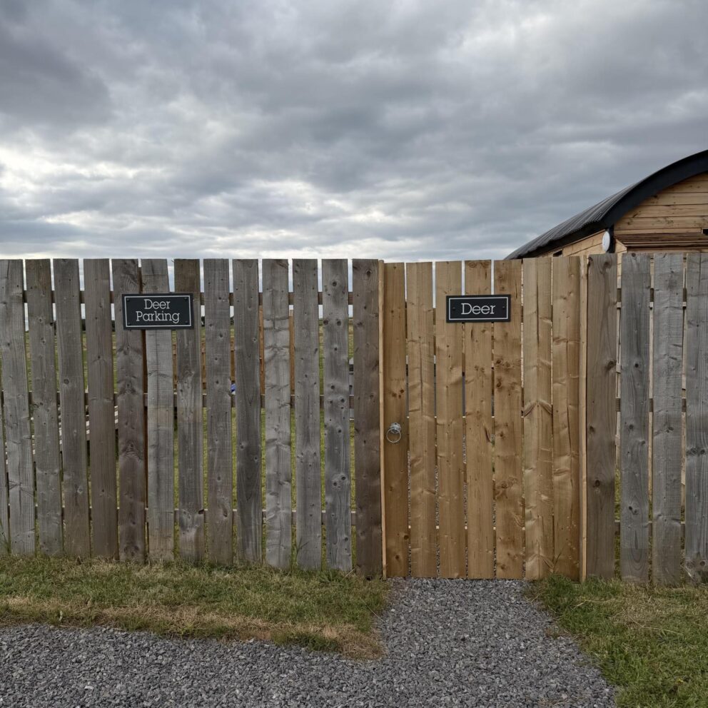 Deer Shepherds Hut - Saltburn Holiday Lets
