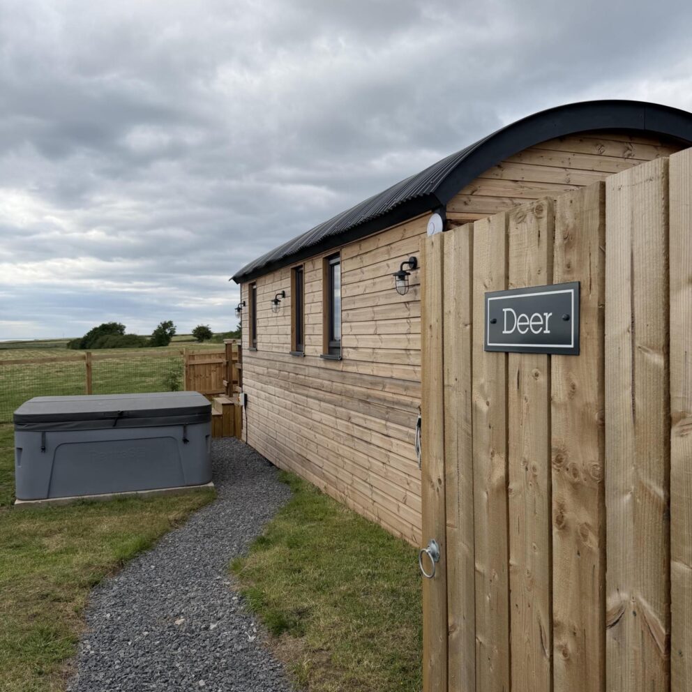 Deer Shepherds Hut - Saltburn Holiday Lets